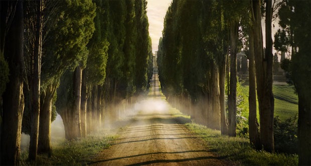 Nature Landscape Photography Nature Landscape Photography