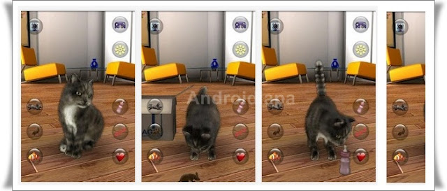Talking-Cat-Funny Talking-Cat-Funny