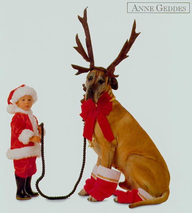 Çocuk/Bebek Resimleri farklı resimler, komik resimler