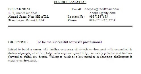 Resume Professional Summary