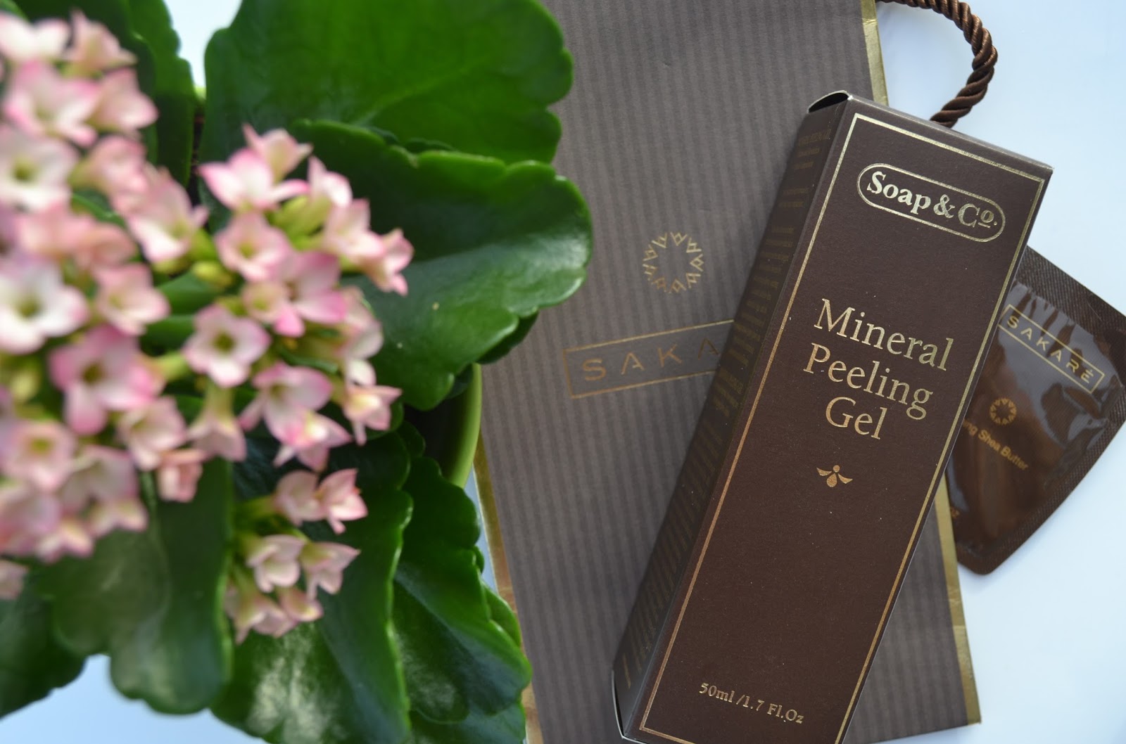 Slovenian blogger in London SOAP&CO Mineral Peeling Gel Larisa G.