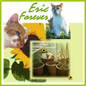 Eric Forever