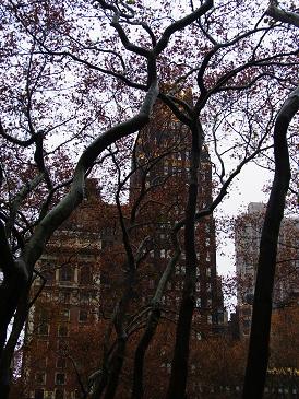 Navidad en Nueva York 2010 - Blogs de USA - Días 11 y 12: Ultimo paseo y la vuelta a casa. (7)