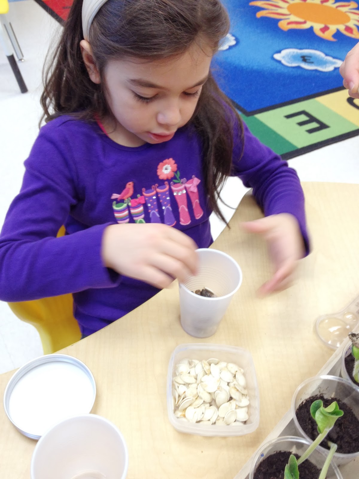 Wonderfull Inquiry Can Plants Grow in Rocks?