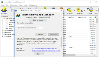 Internet Download Manager 6.31 build 9