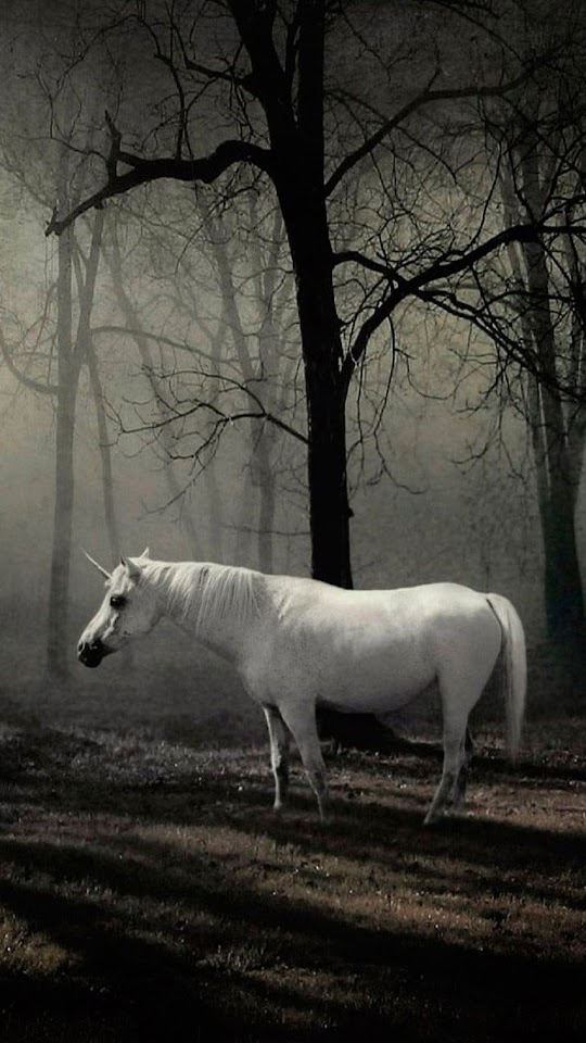   White Unicorn   Galaxy Note HD Wallpaper