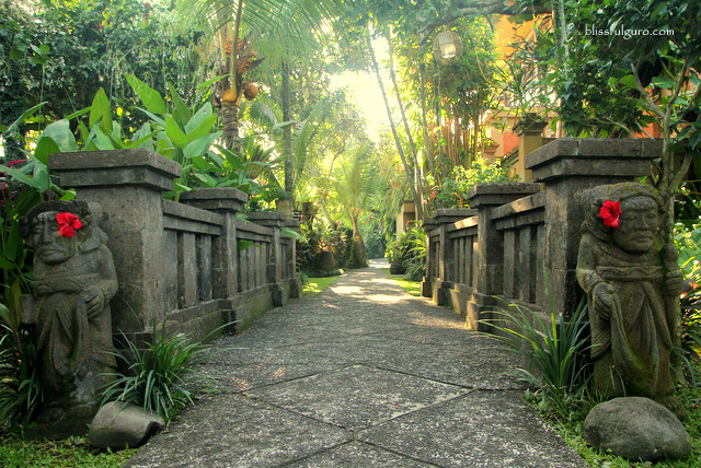 Bebek Tepi Sawah Villas Bali Resort Blog