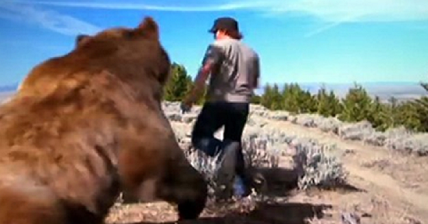 Mountain Climber Saved an Abandoned Grizzly Cub. Six Years Later This Is How He’s Thanked!