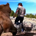 Mountain Climber Saved an Abandoned Grizzly Cub. Six Years Later This Is How He’s Thanked!