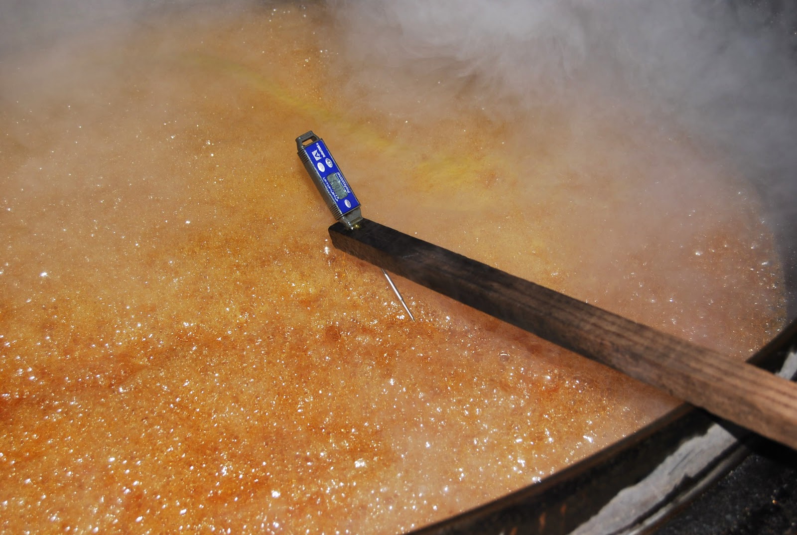 Helen A. Lockey Florida Sugar Cane Syrup Making From Field To Bottle