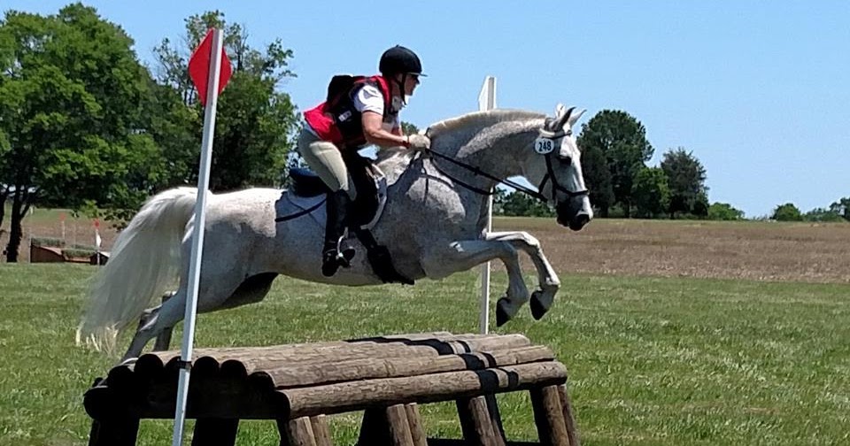 Playland Equestrian Center Horse Boarding, Horse Sales & Horse