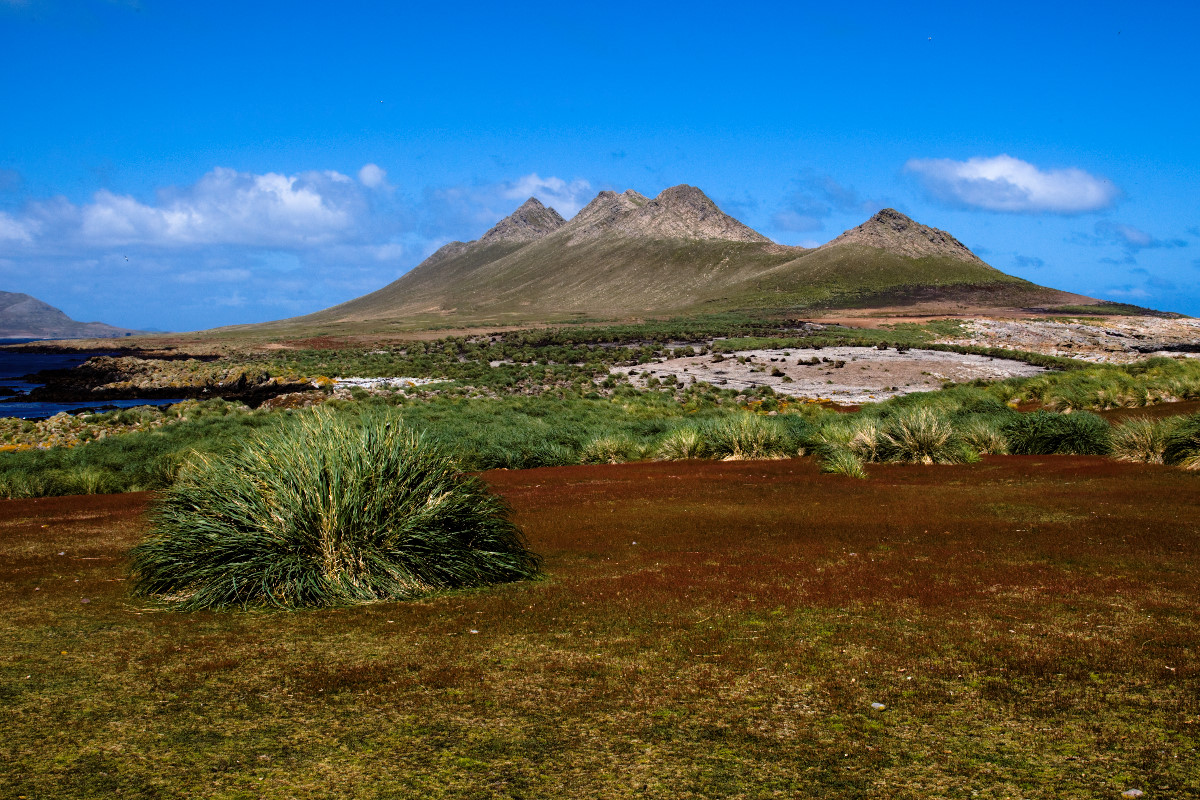 Beautiful Falkland Islands Wallpapers