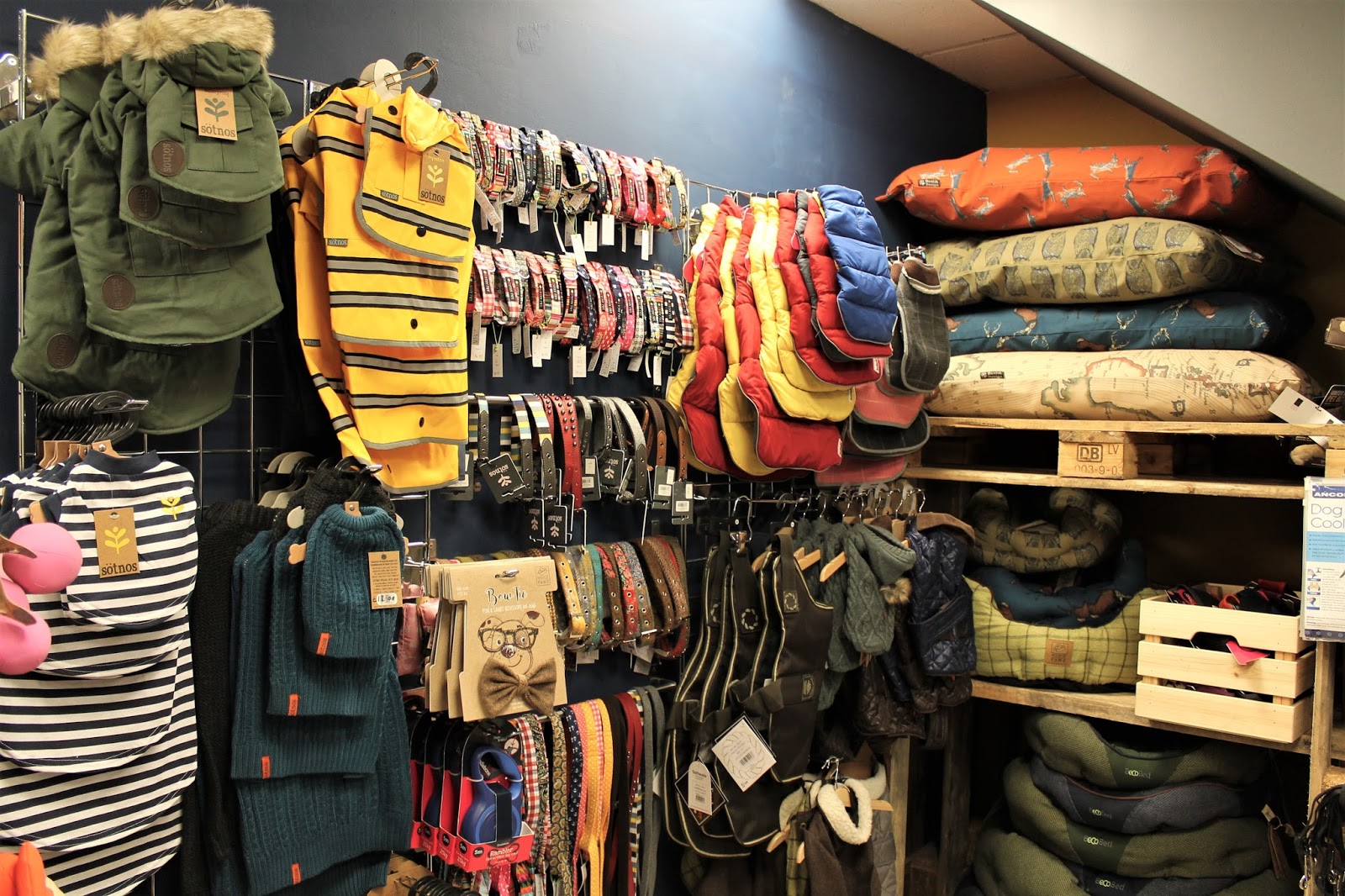 Hounds NewcastleUnderLyme Staffordshire Paws across Britain