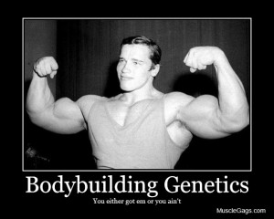 Muscle Academy Blog Genetics Vs Hard Work Which Is More Important