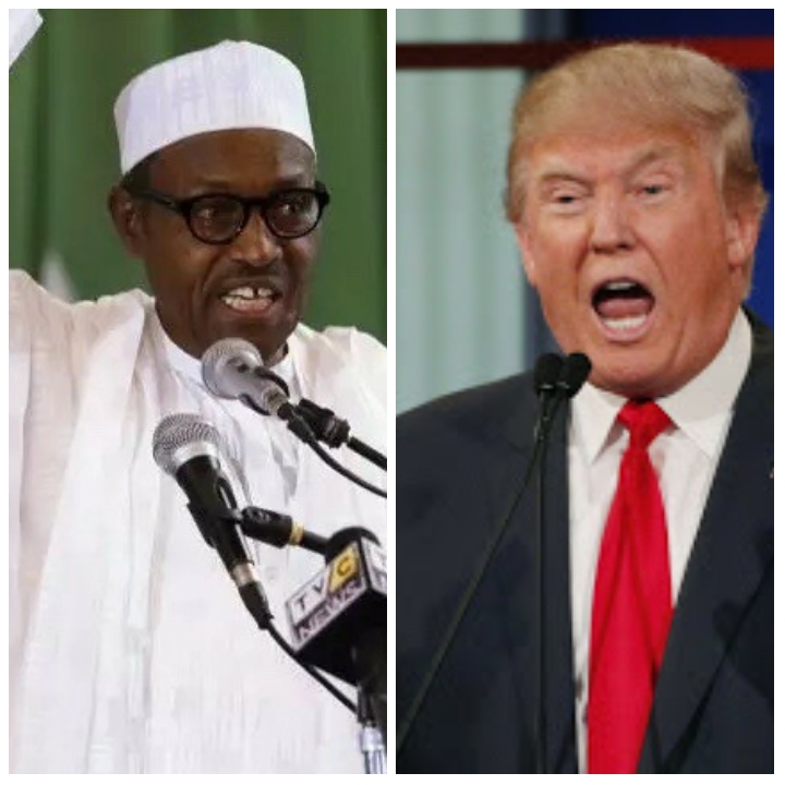 Image result for donald trump and muhammadu buhari