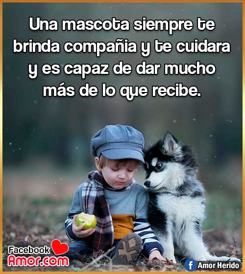 ver frases de animales hermosas ver frases de animales hermosas