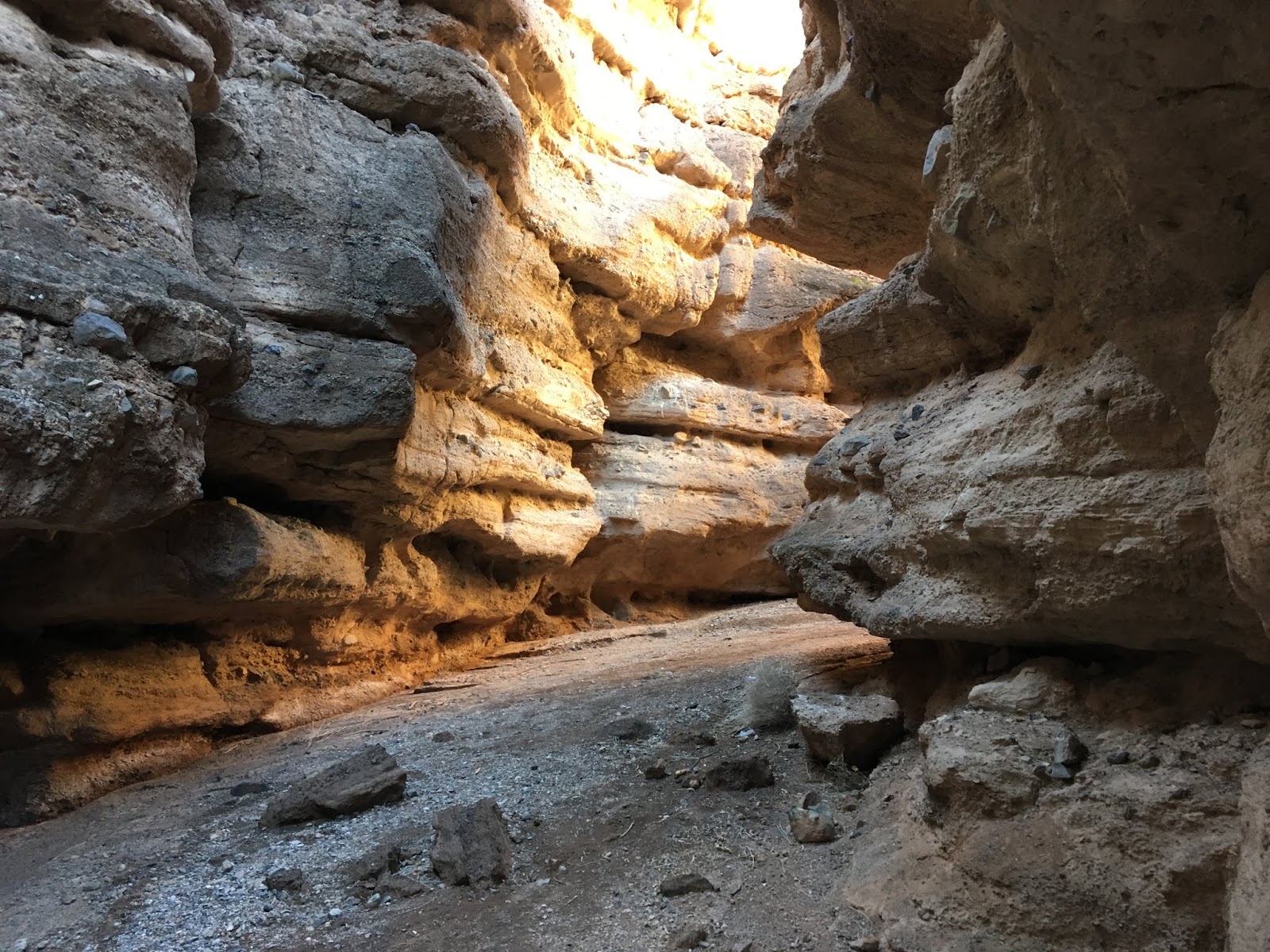 WHITE OWL CANYON. LAKE MEAD NATIONAL RECREATIONAL AREA, NEVADA ADAM