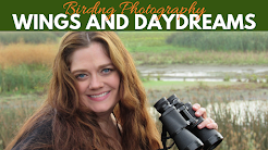 Rachelle's Birding Blog