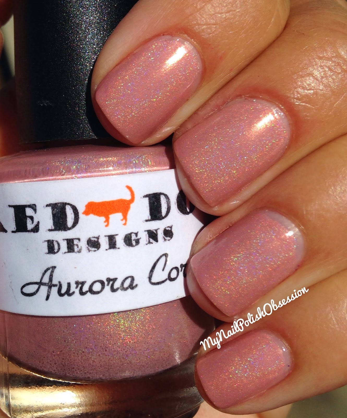 My Nail Polish Obsession Red Dog Designs Aurora Coralis