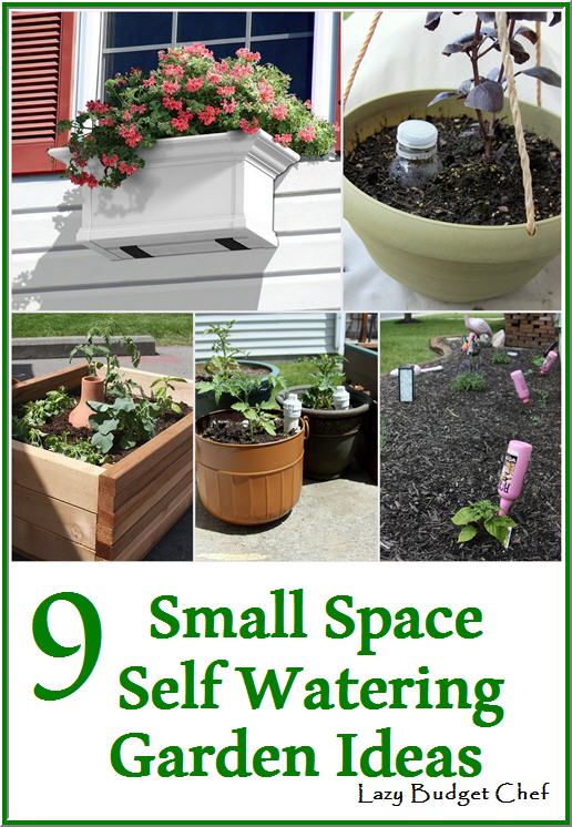 Lazy Budget Chef: 9 Small Space Self Watering Vegetable Garden Ideas ... Lazy Budget Chef: 9 Small Space Self Watering Vegetable Garden Ideas ...