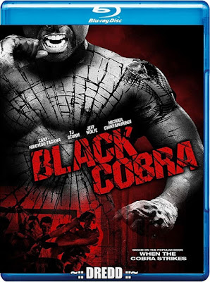 Black Cobra 2012 Dual Audio BRRip 480p 300Mb x264