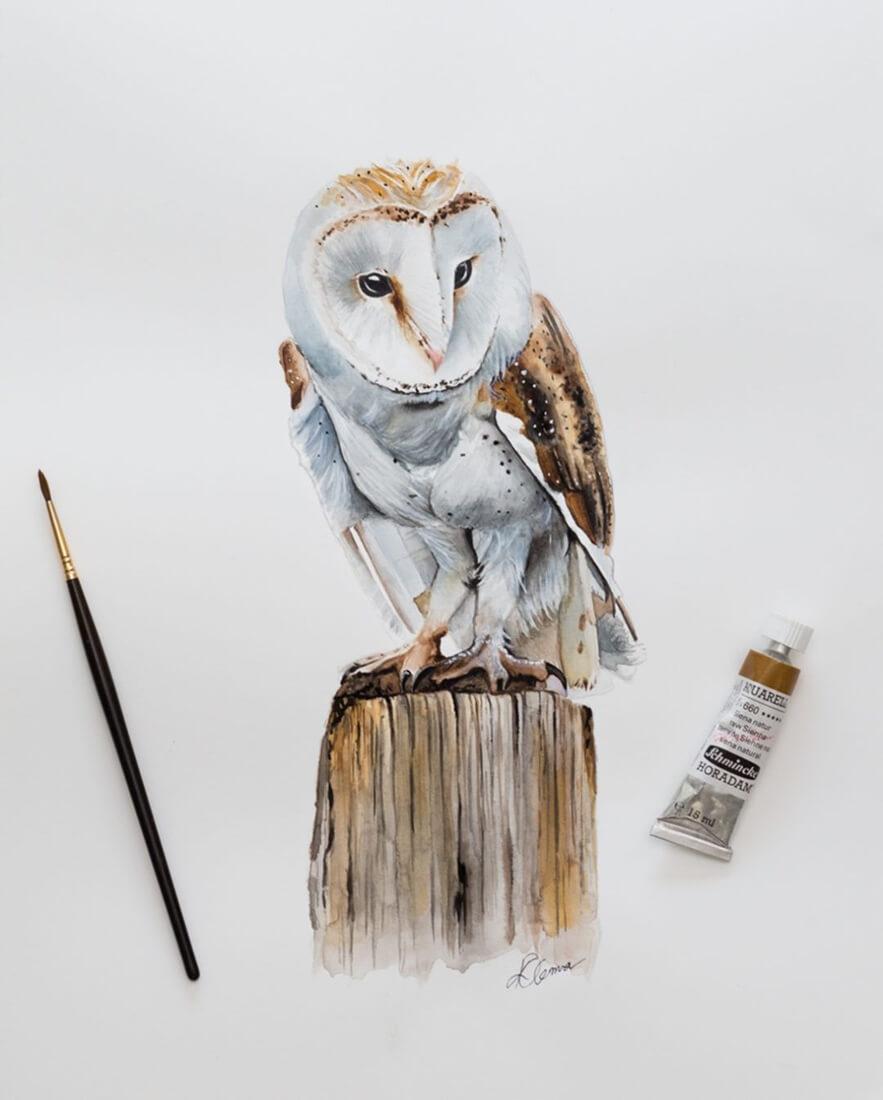 04-Barn-Owl-Kieran-O-Connor-Animal-Watercolor-Paintings-and-Pencil-Drawings-www-designstack-co