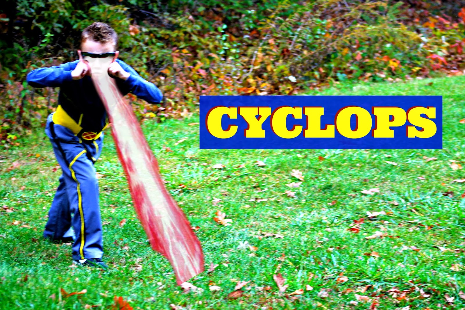 Halloween Costumes 2013 XMen Edition