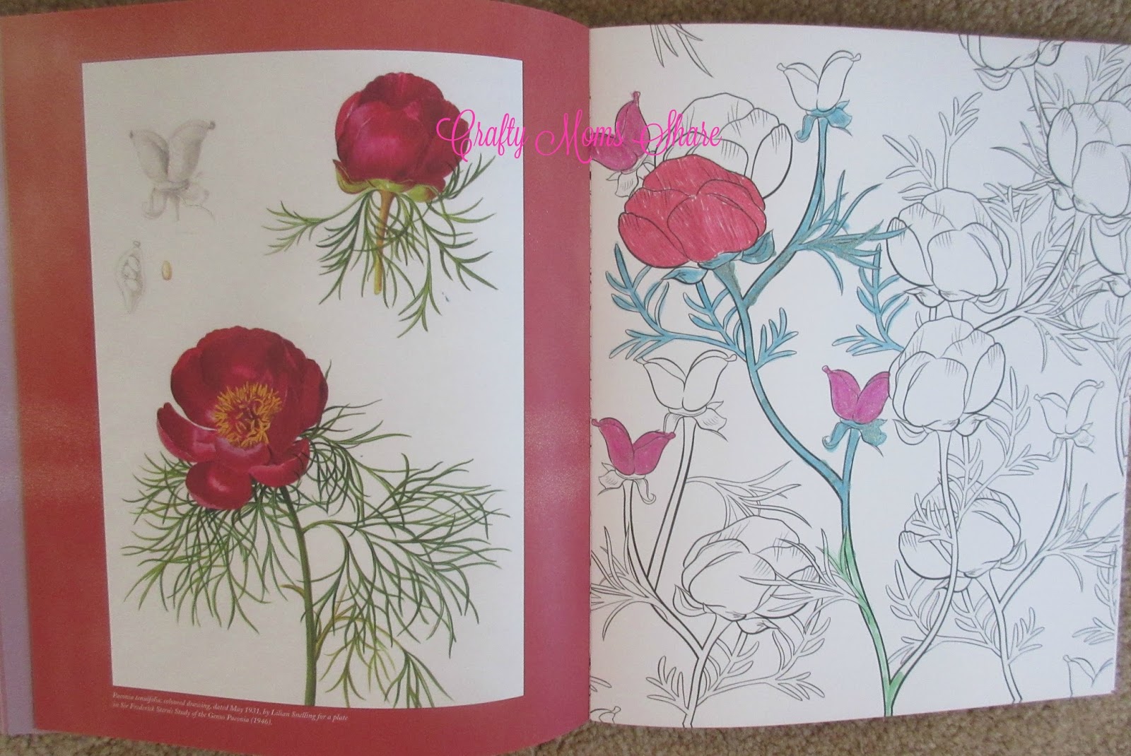 Crafty Moms Share: RHS Floral Colouring Book -- a Relaxing Friday Review