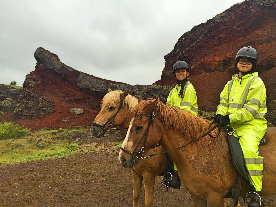 Miss HappyFeet My Icelandic Horse Riding Experience In Reykjavik