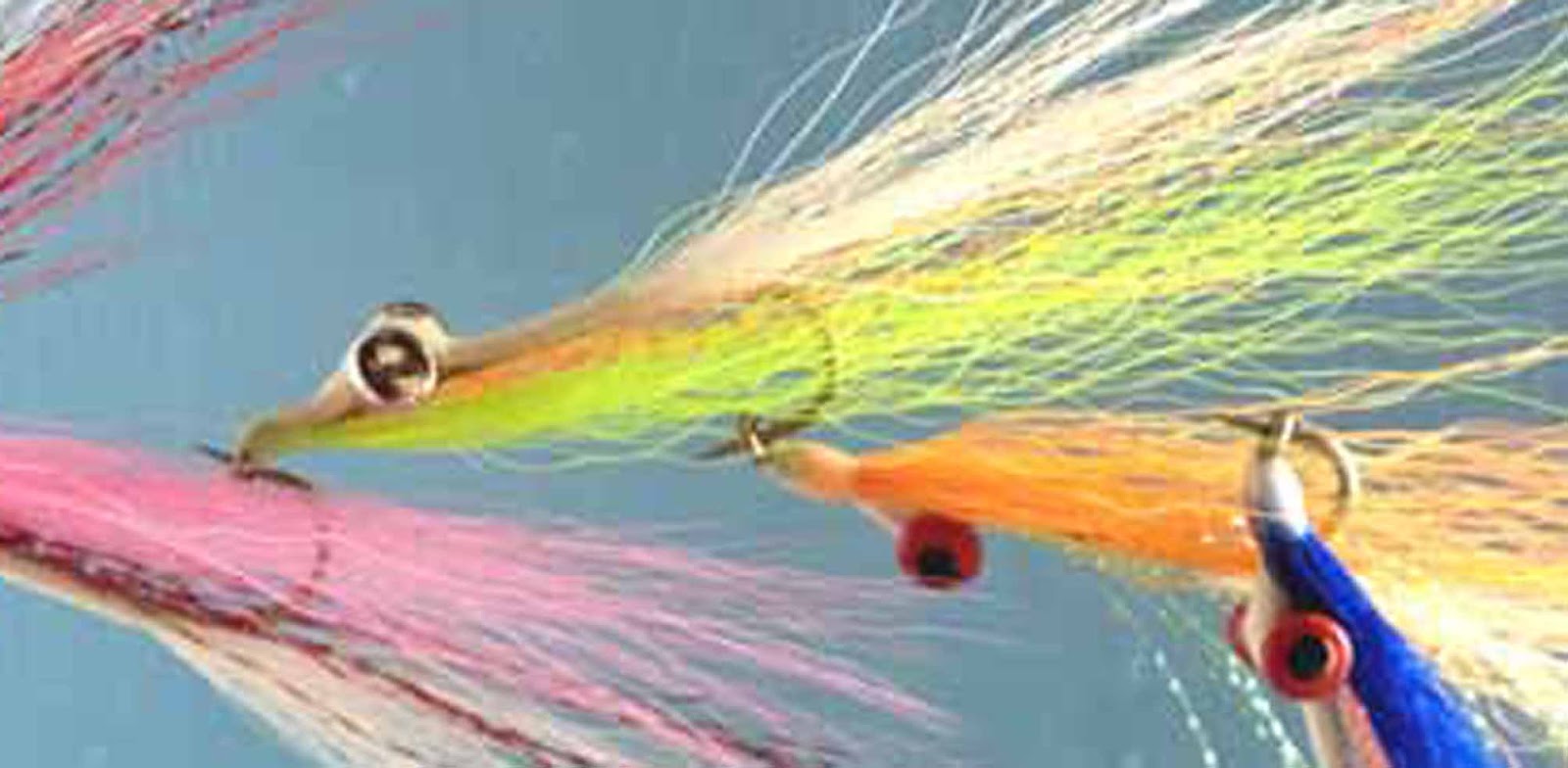 Flashbulb, The - Fly! Flashbulb, The - Fly!