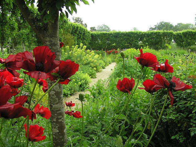 Ogród Kwiatowy w Loseley Park