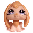 Littlest Pet Shop Collectible Pets Rabbit (#542) Pet