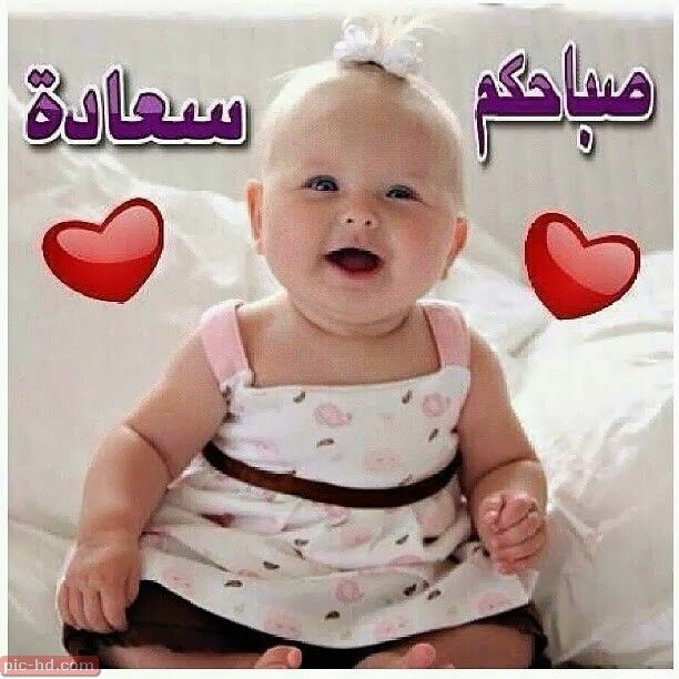 صوربيبي مكتوب عليها عبارات 2019 مصراوى الشامل