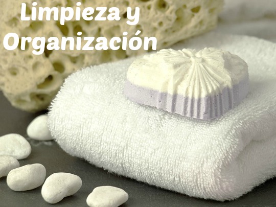 Limpieza y Organización, el Complemento Perfecto