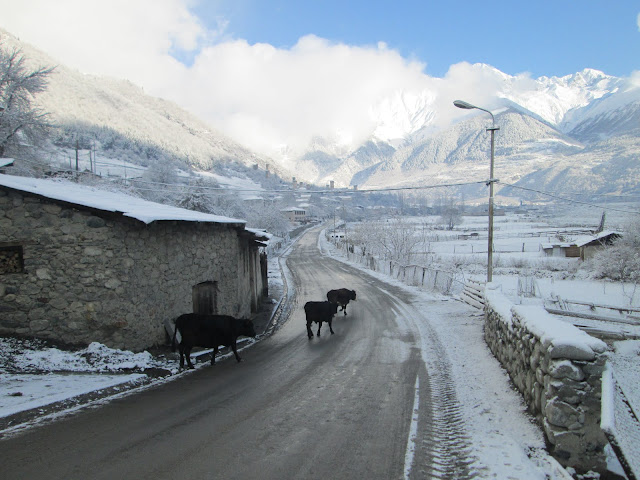 Las carreteras de Svaneti son una suma de vacas y nieve