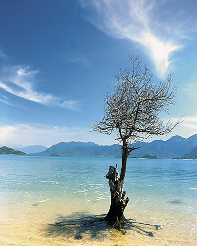 biển Nha Trang Thơ với biển Nha Trang