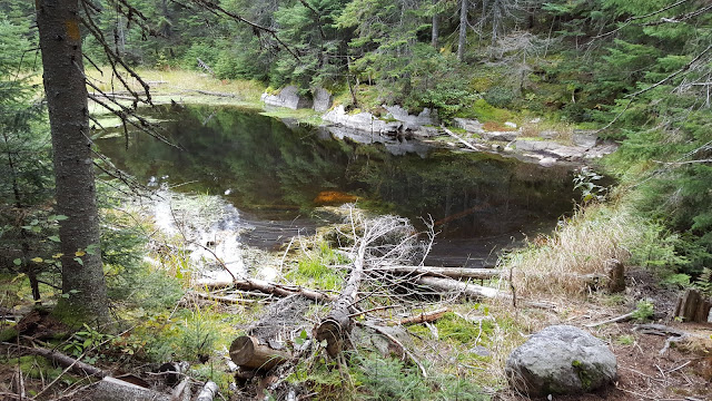 Étang sur le sentier en direction du sommet du Diable