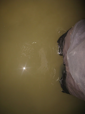 treding through water in ankarana bat cave