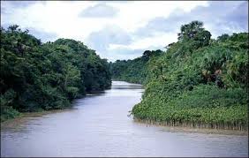 12 Tewas & 20 Hilang Akibat Kecelakaan Perahu di Sungai Amazon