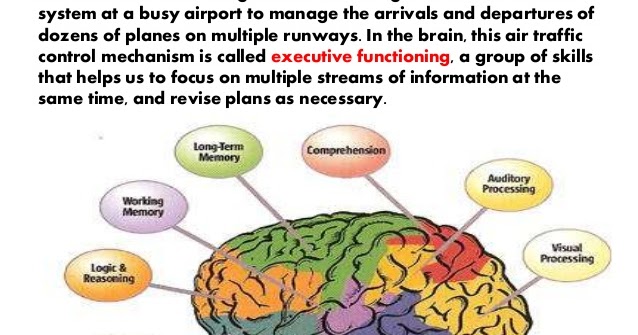 Executive Brain Function