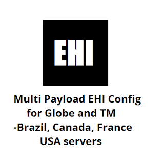 Multi Payload EHI Config for Globe and TM