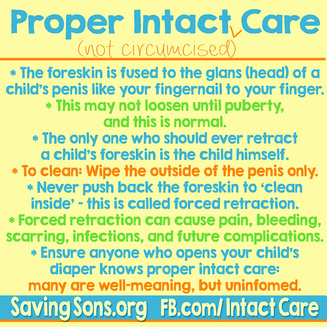 peaceful parenting Basic Care of the Intact Child