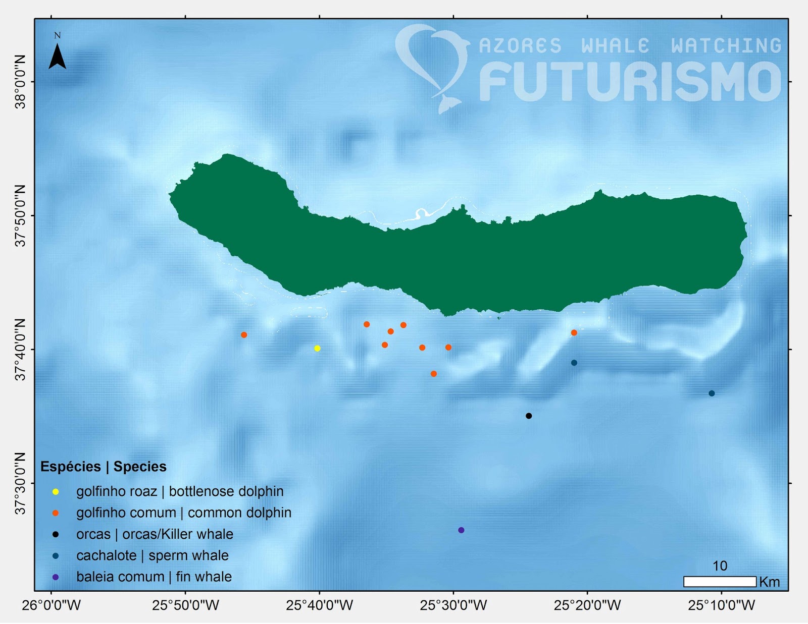 Sperm whale map sightings