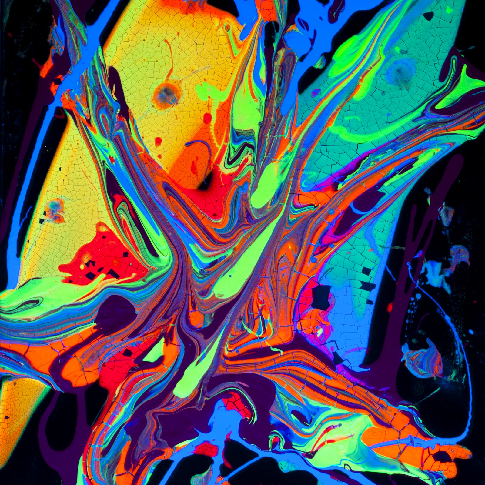 PhotographybyReneeKully Neon Art