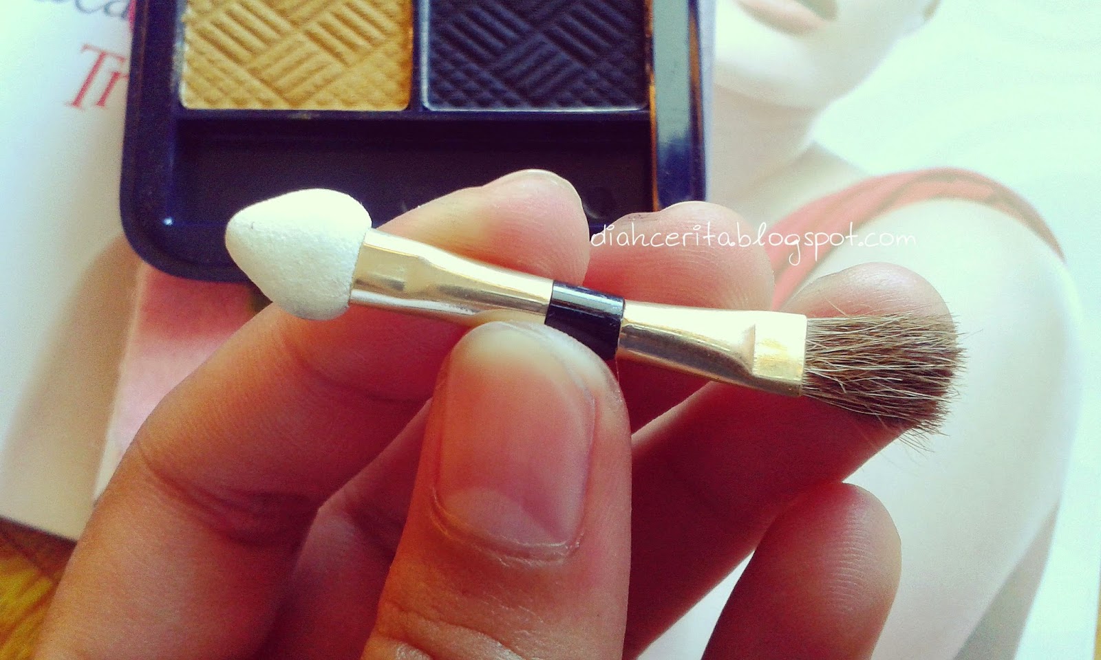 review viva eyeshadow 10 review viva eyeshadow 10