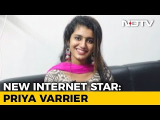 Meet The New Internet Sensation