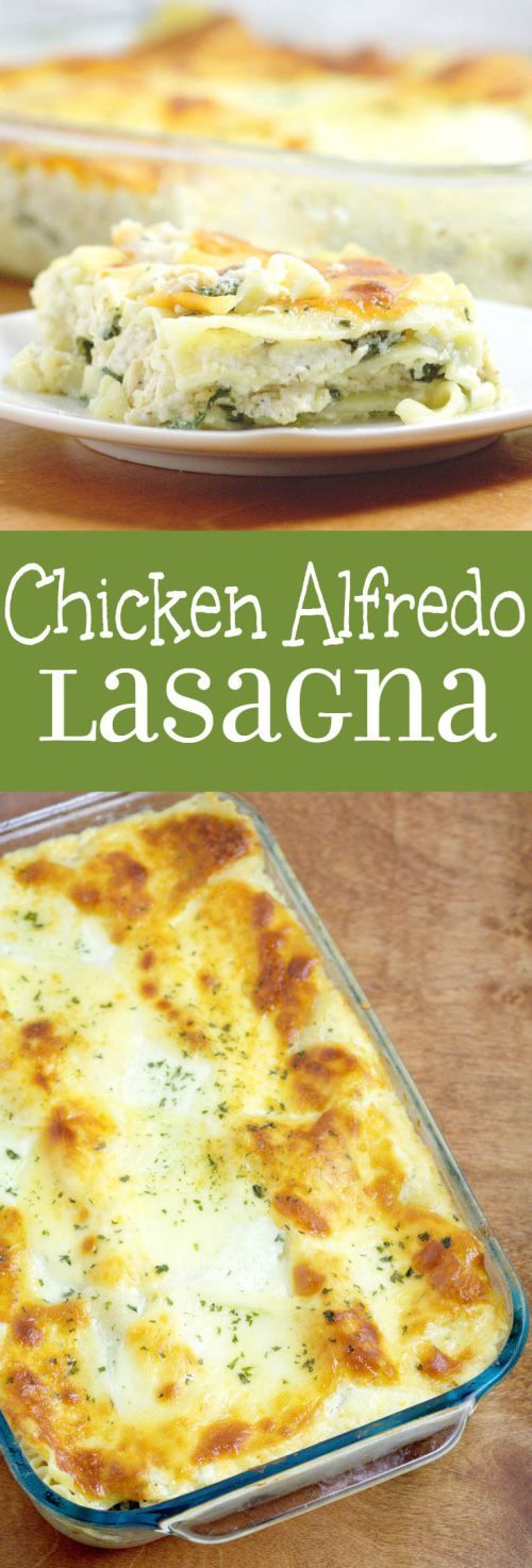 Chicken alfredo Lasagna #chicken #chickenalfredo #alfredo #lasagna #lasagnarecipes #bestlasagna #chickenrecipes Chicken alfredo Lasagna #chicken #chickenalfredo #alfredo #lasagna #lasagnarecipes #bestlasagna #chickenrecipes