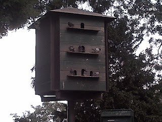 Pigeonnier au fond d'un square surplombant l'esplanade du Sacré-cœur. ontmartre Montmartre Pigeonnier au fond d'un square surplombant l'esplanade du Sacré-cœur.