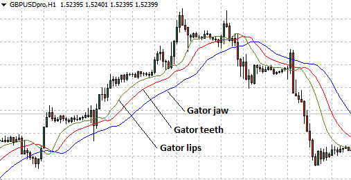 Forex-Alligator-Indicator