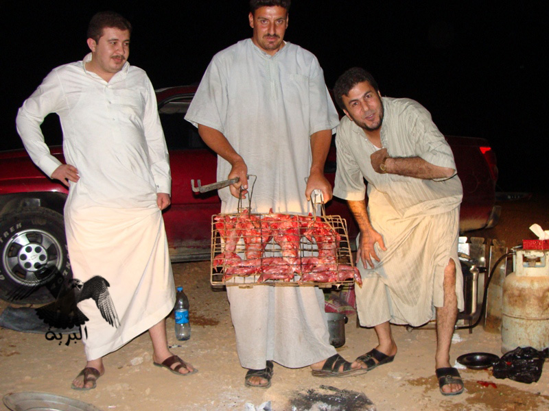 مقناص العراق الرطبة - صيد وشوي ارانب - البرية